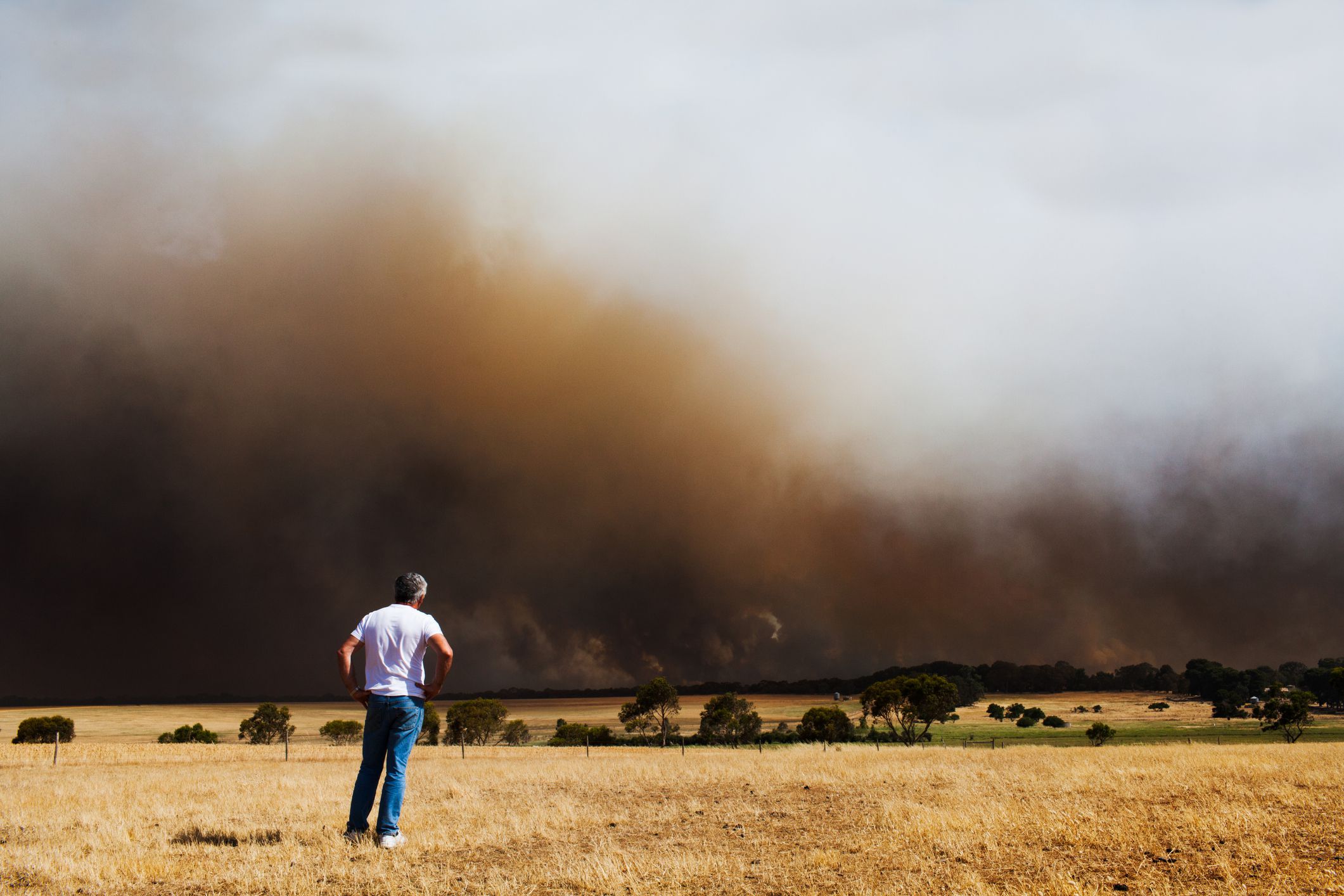 El impacto negativo del humo de los incendios forestales en la salud mental El impacto negativo del humo de los incendios forestales en la salud mental